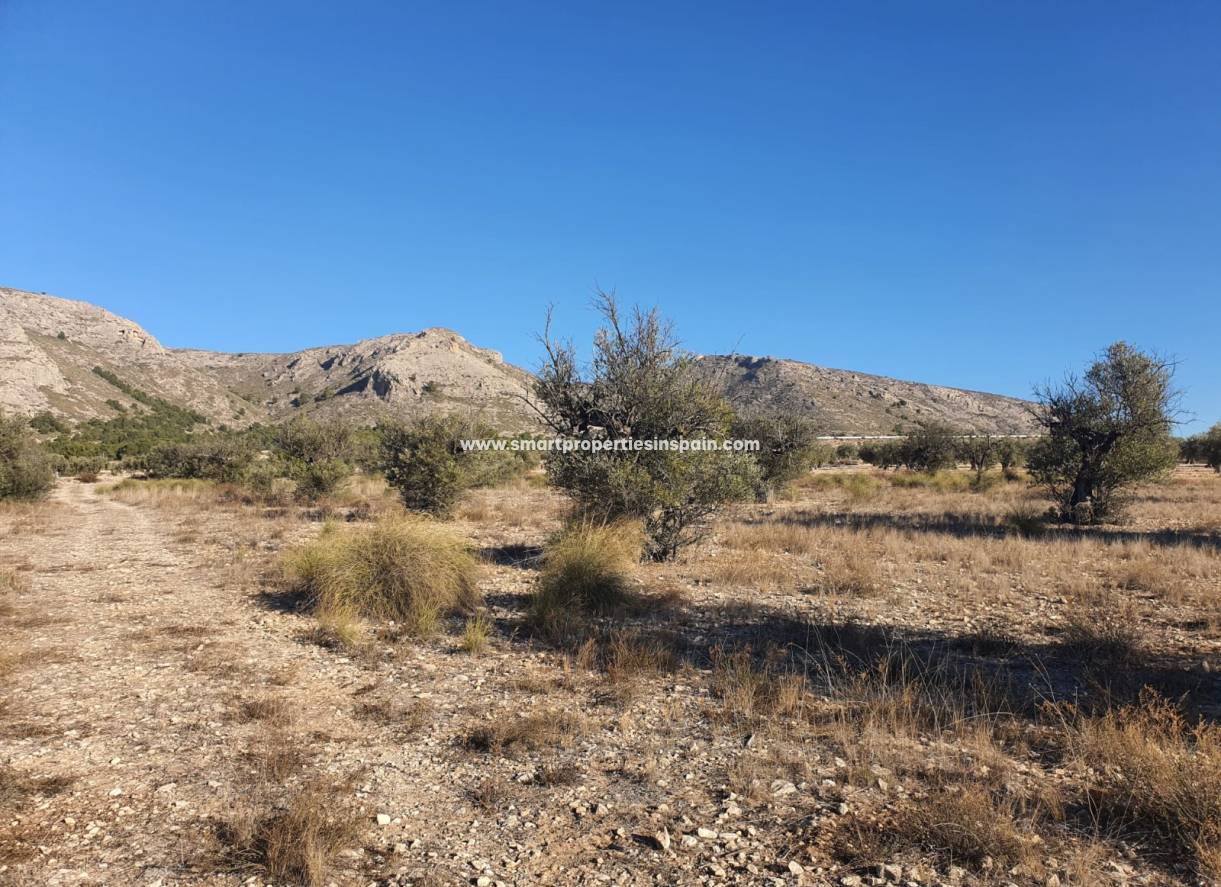 Reventa - Terreno - Villena