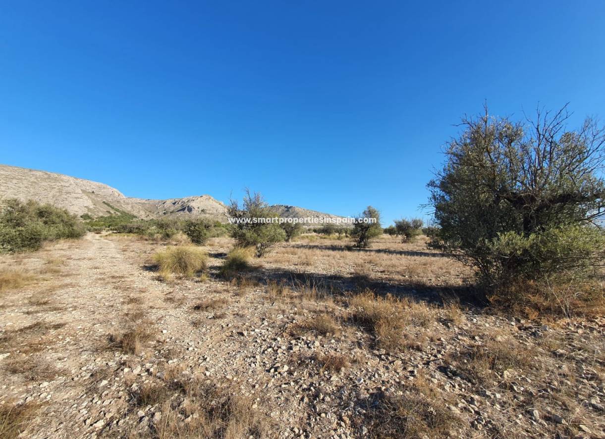 Reventa - Terreno - Villena