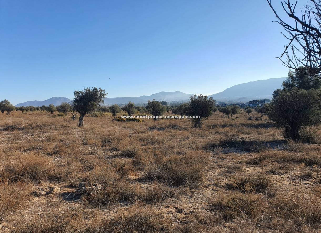 Reventa - Terreno - Villena