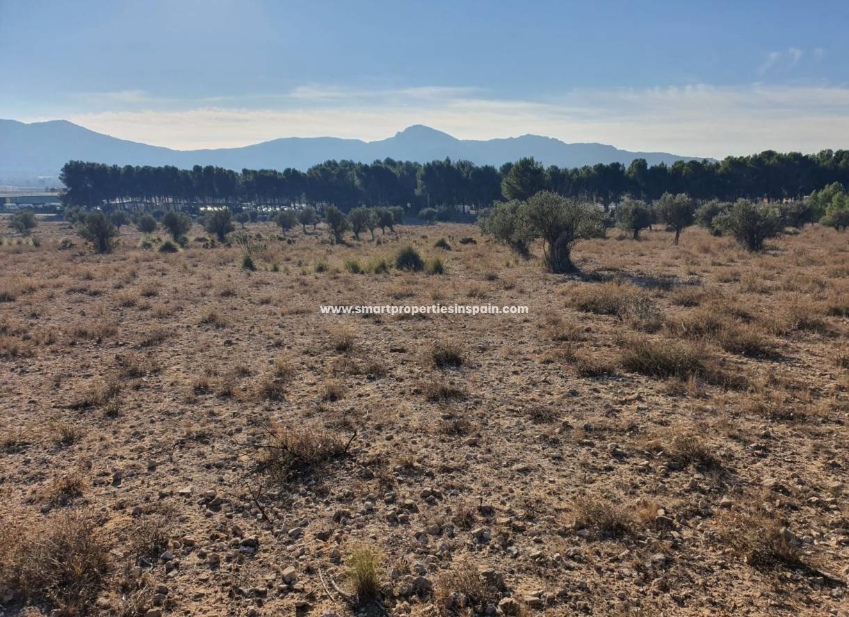 Reventa - Terreno - Villena