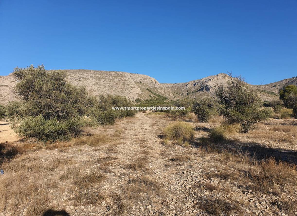 Reventa - Terreno - Villena