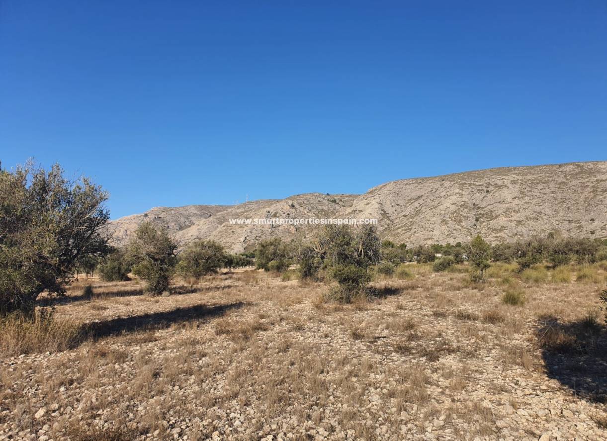 Reventa - Terreno - Villena