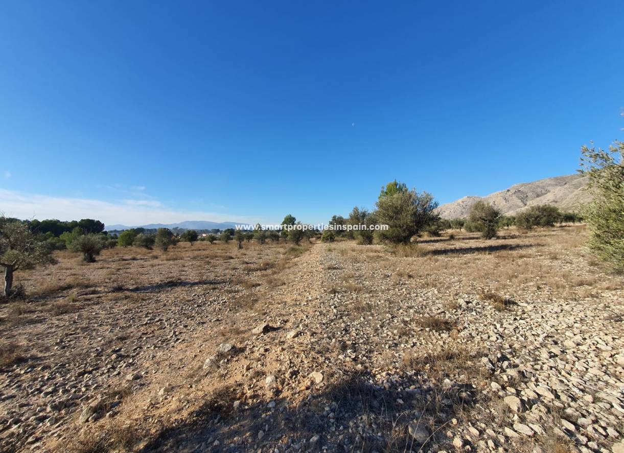 Reventa - Terreno - Villena