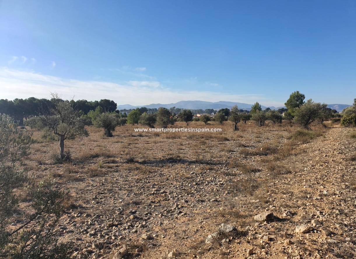 Reventa - Terreno - Villena