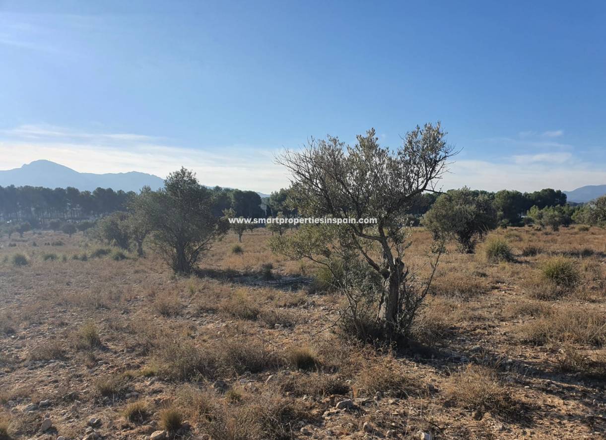 Reventa - Terreno - Villena