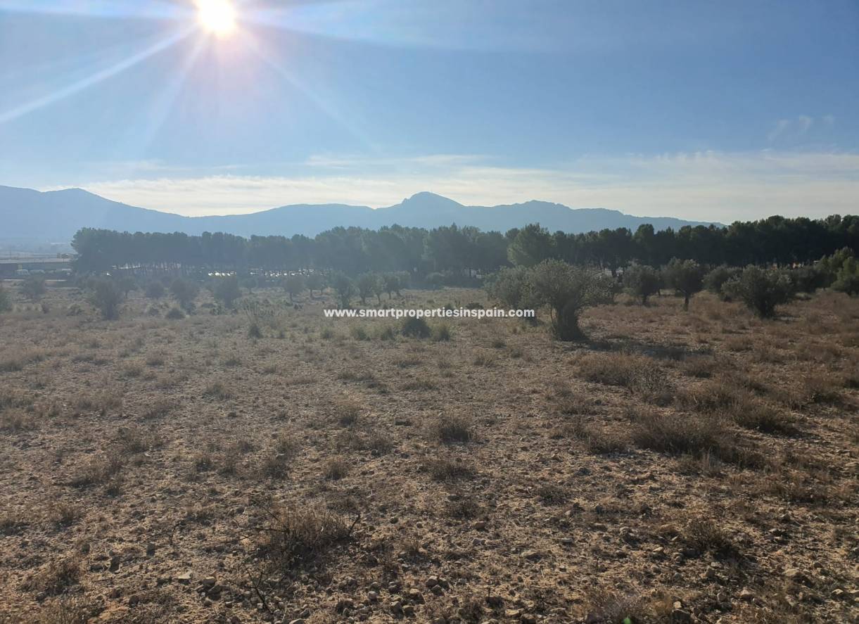 Reventa - Terreno - Villena