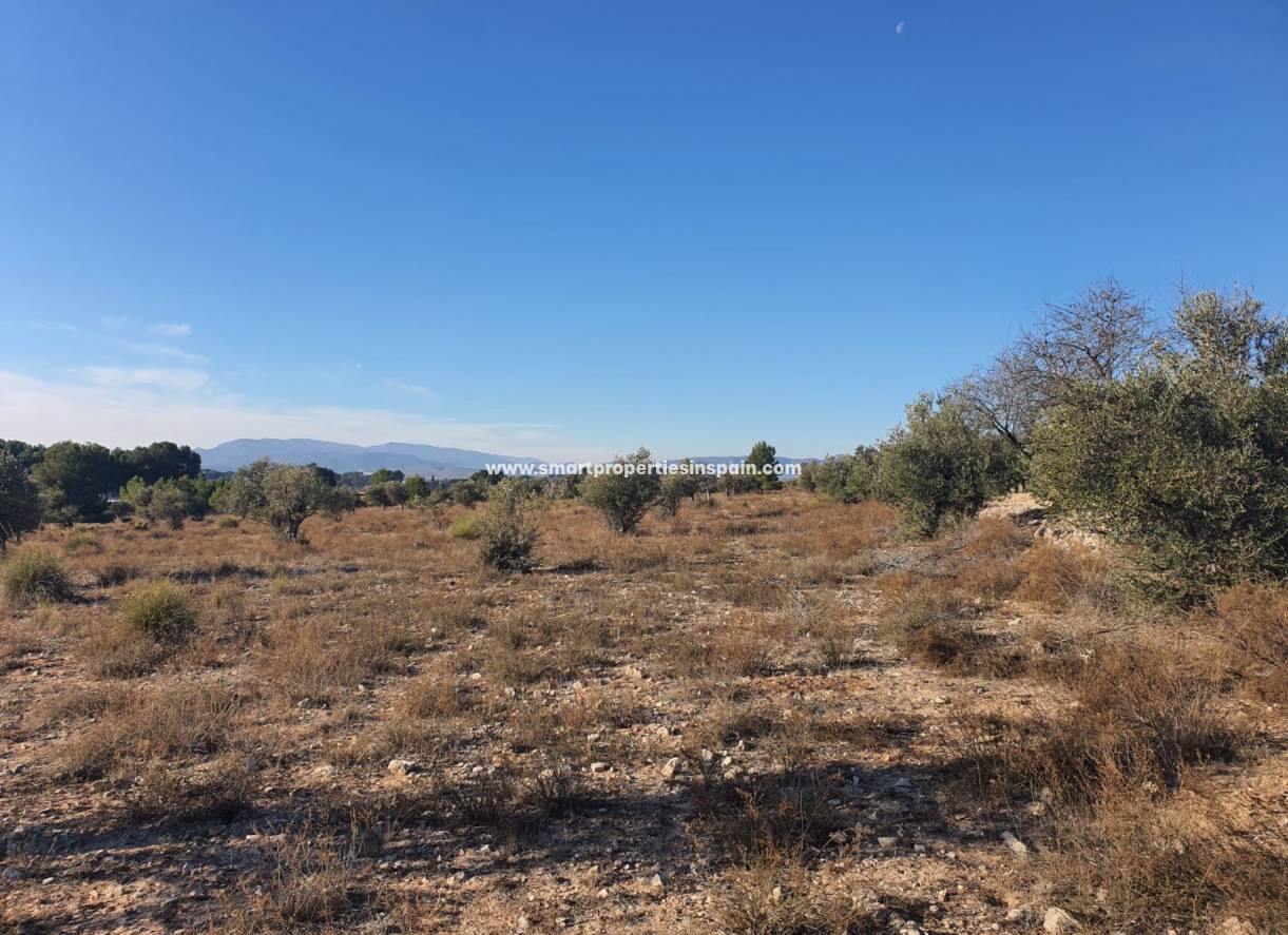 Reventa - Terreno - Villena