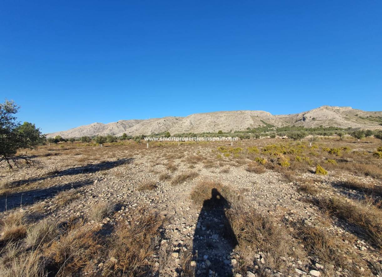 Reventa - Terreno - Villena