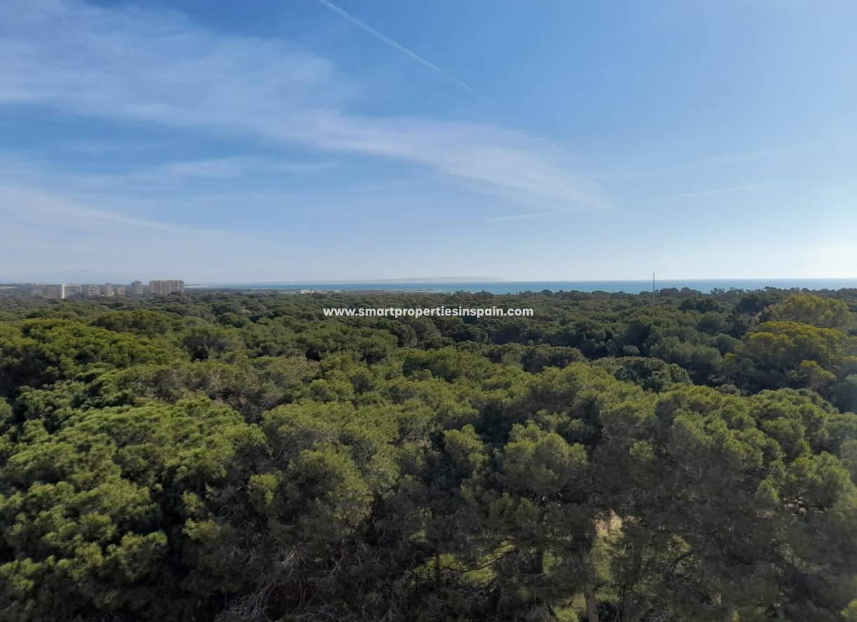 Revente - Appartement - Guardamar  - Guardamar