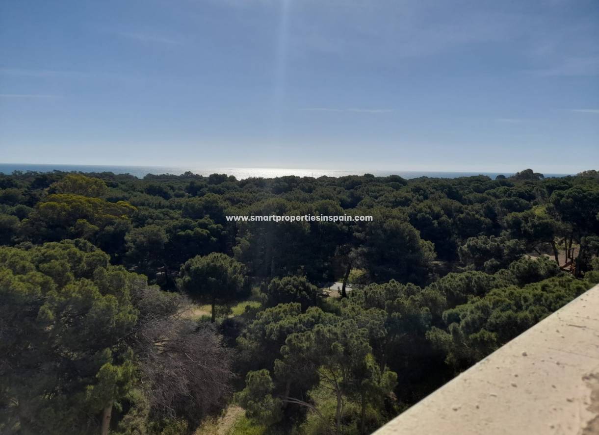 Revente - Appartement - Guardamar  - Guardamar