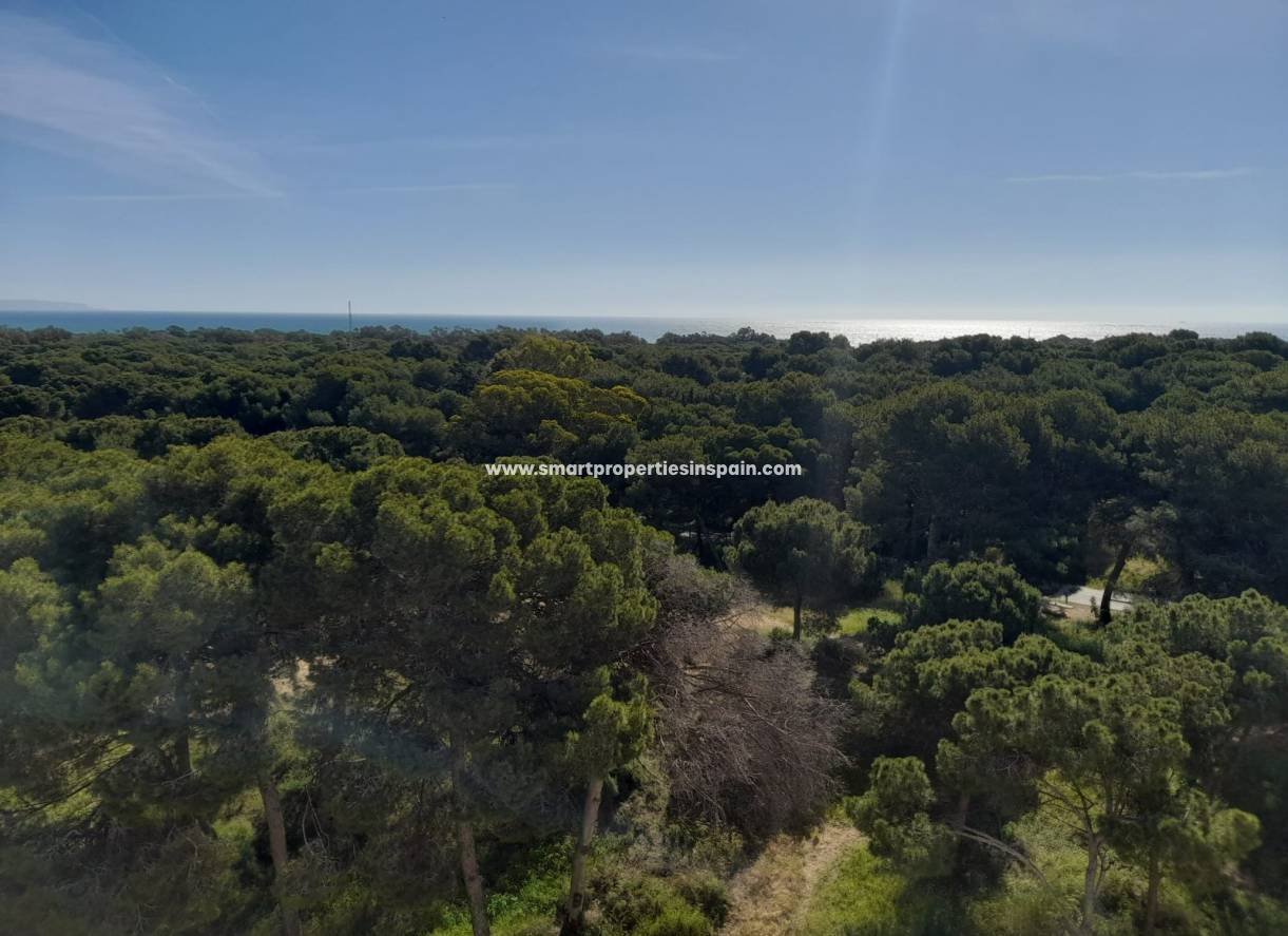 Revente - Appartement - Guardamar  - Guardamar