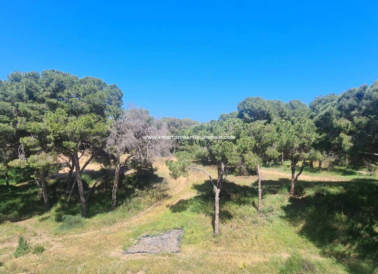 Revente - Appartement - Guardamar  - Guardamar