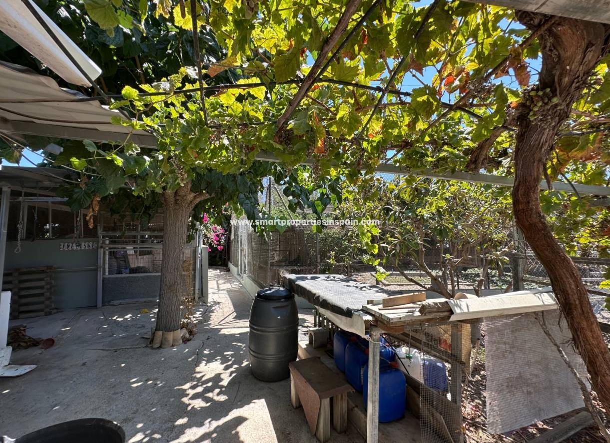 Revente - Bungalow - San Fulgencio