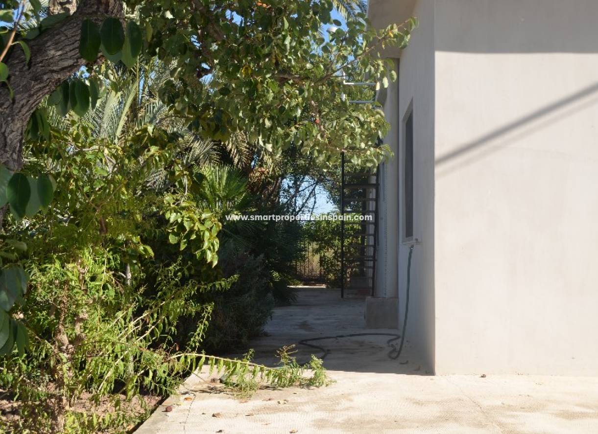 Revente - Maison de campagne - Elche