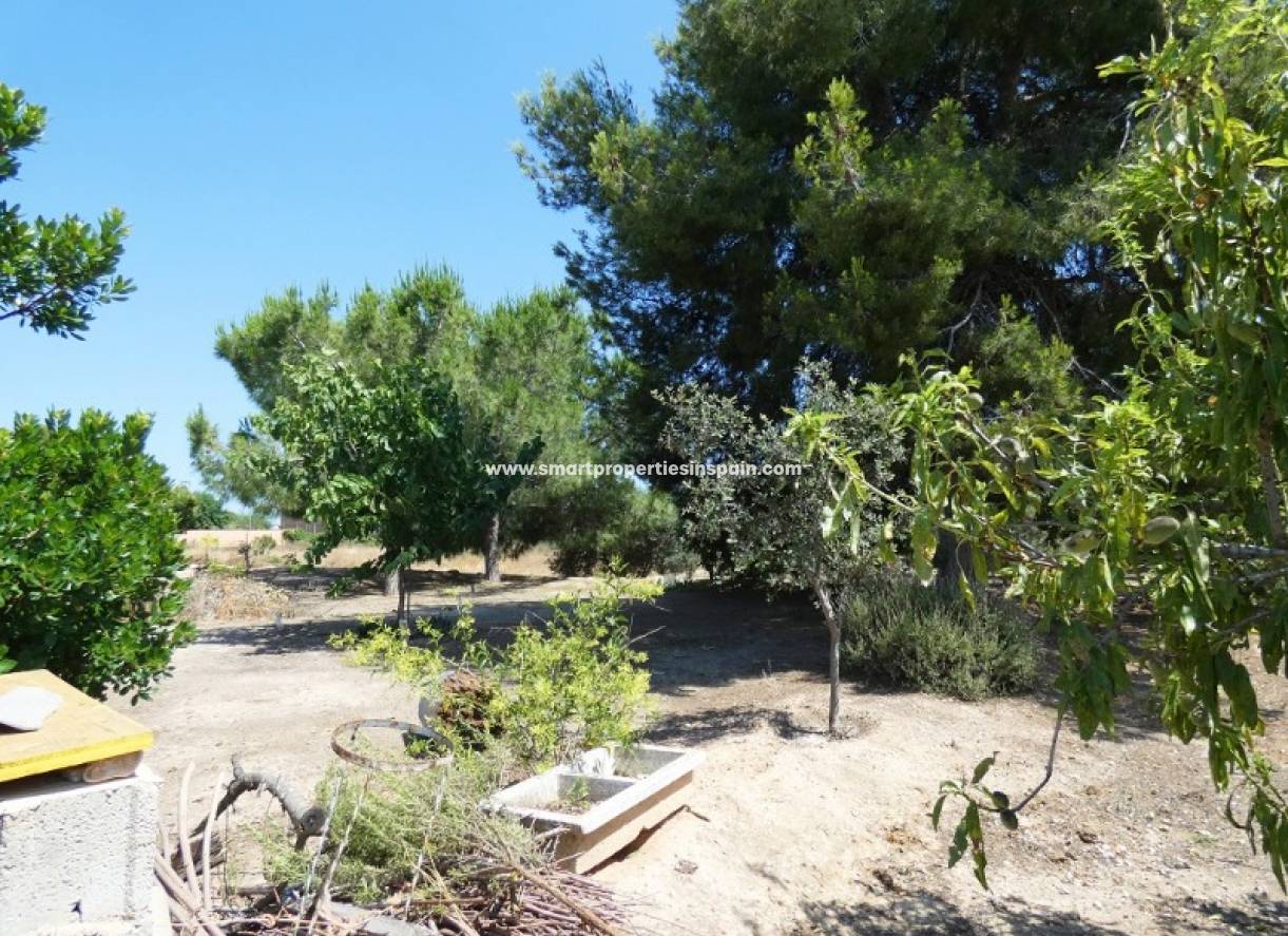 Revente - Maison de campagne - Elche