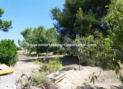 Revente - Maison de campagne - Elche