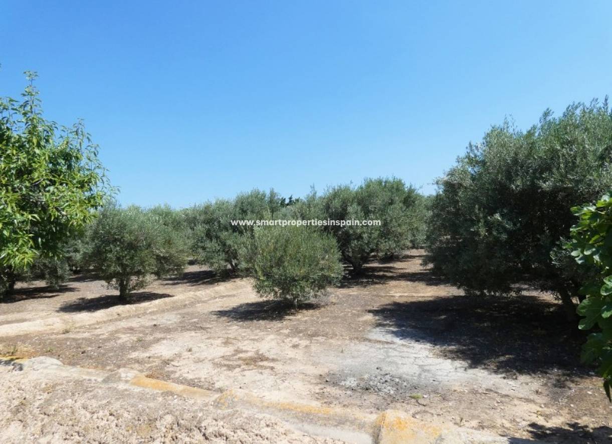 Revente - Maison de campagne - Elche