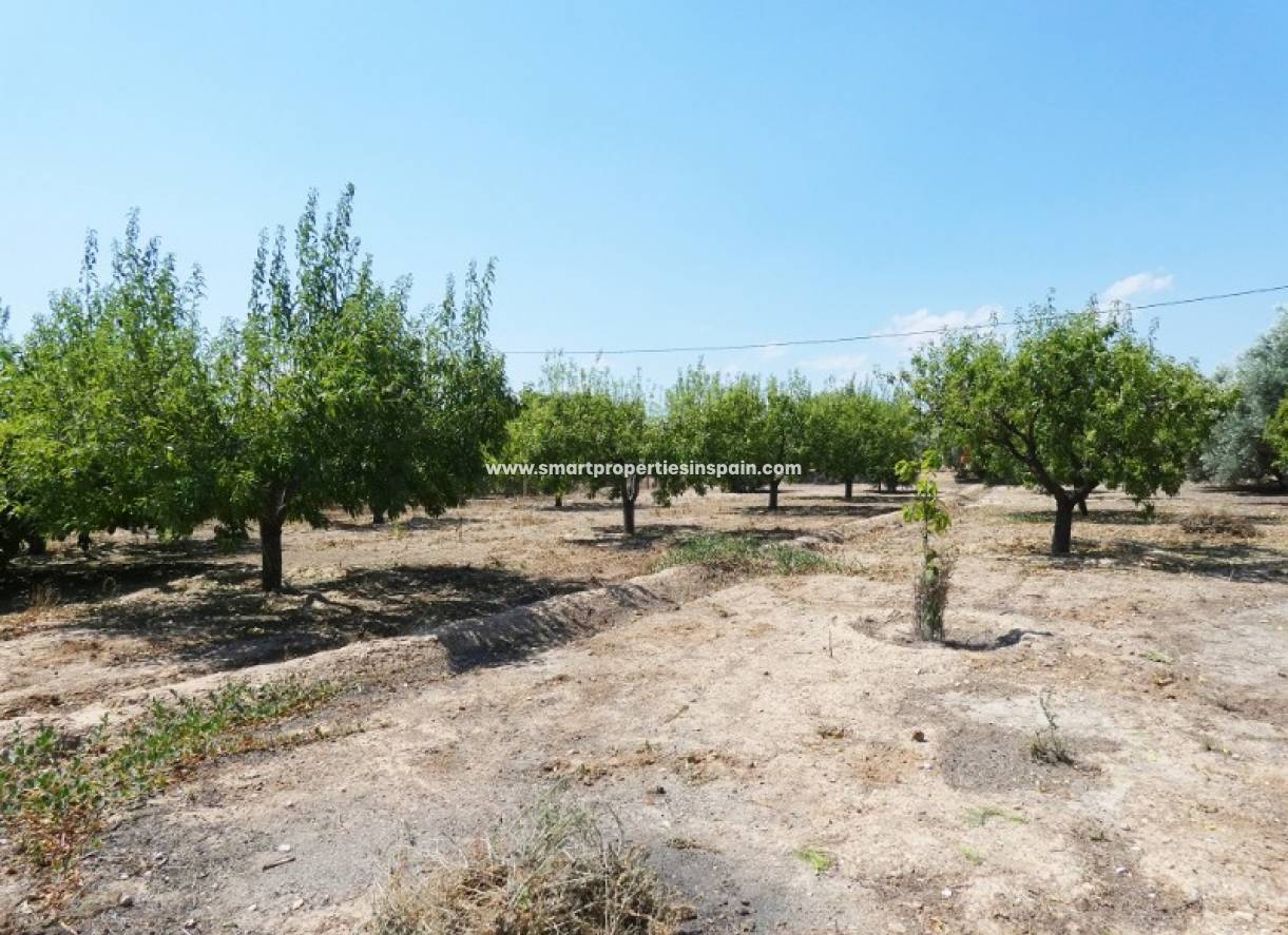 Revente - Maison de campagne - Elche