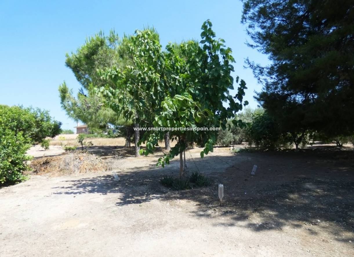 Revente - Maison de campagne - Elche
