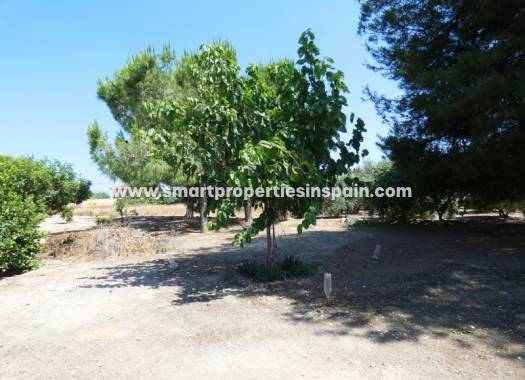Revente - Maison de campagne - Elche