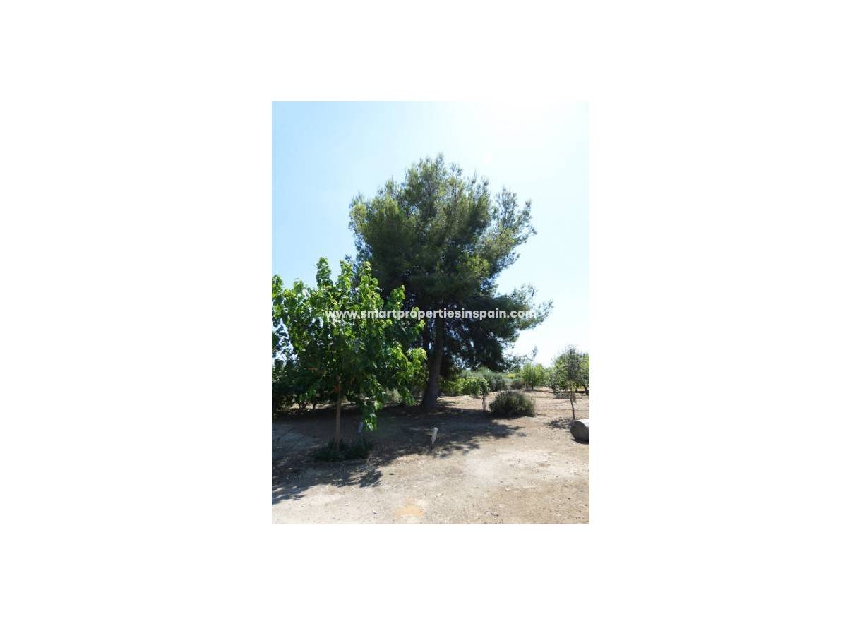 Revente - Maison de campagne - Elche