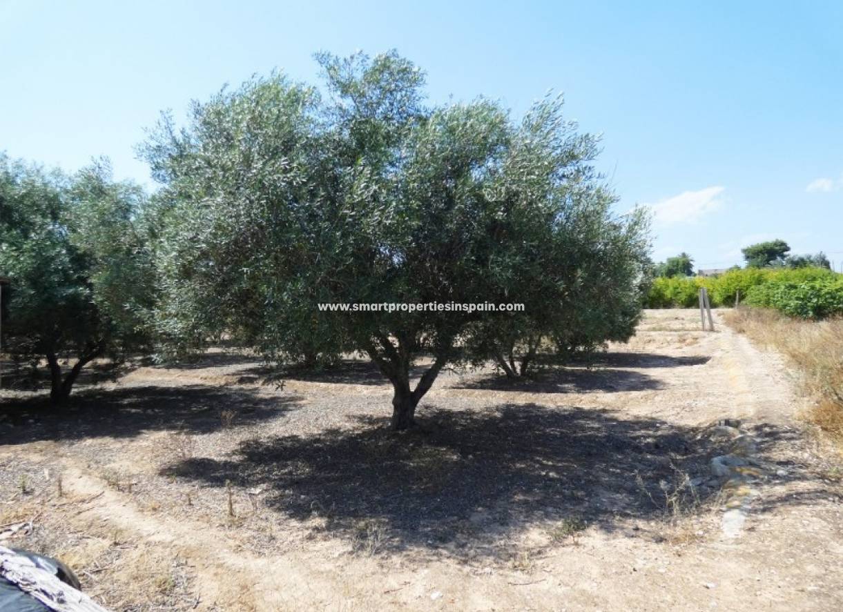 Revente - Maison de campagne - Elche