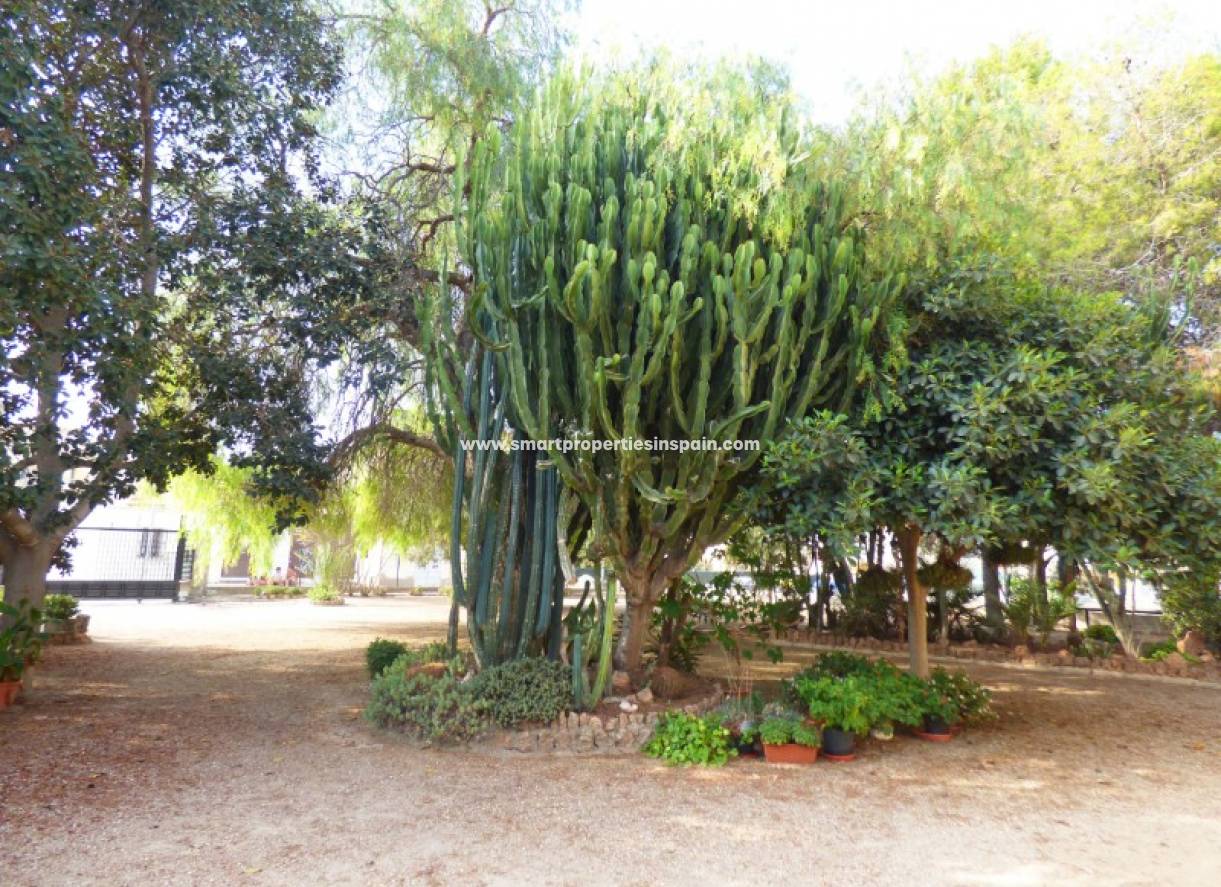 Revente - Maison de campagne - La Marina - Urbanización La Marina