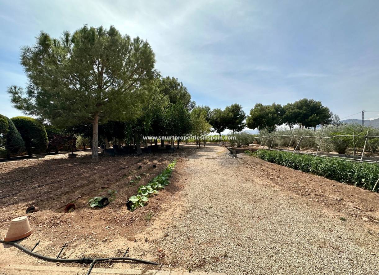 Revente - Maison Individuelle - Crevillente