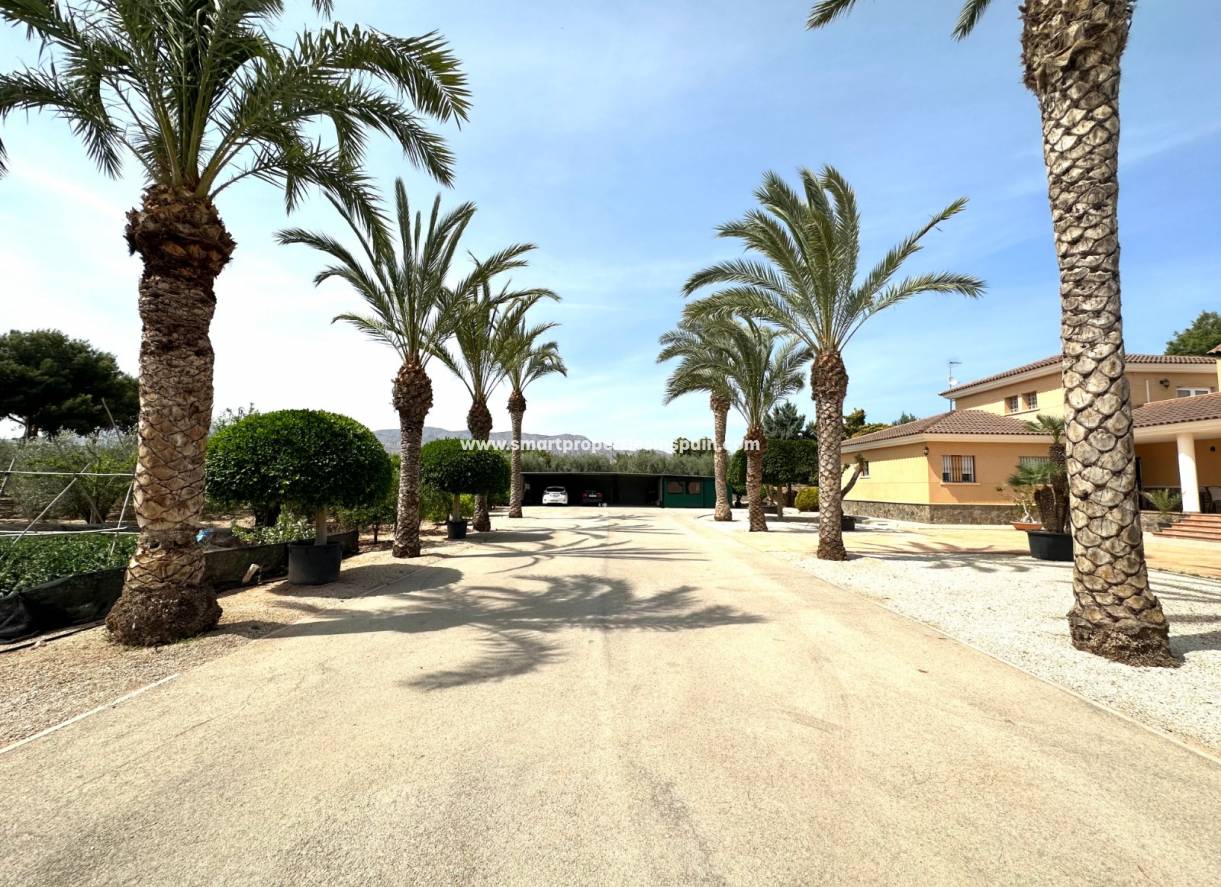 Revente - Maison Individuelle - Crevillente