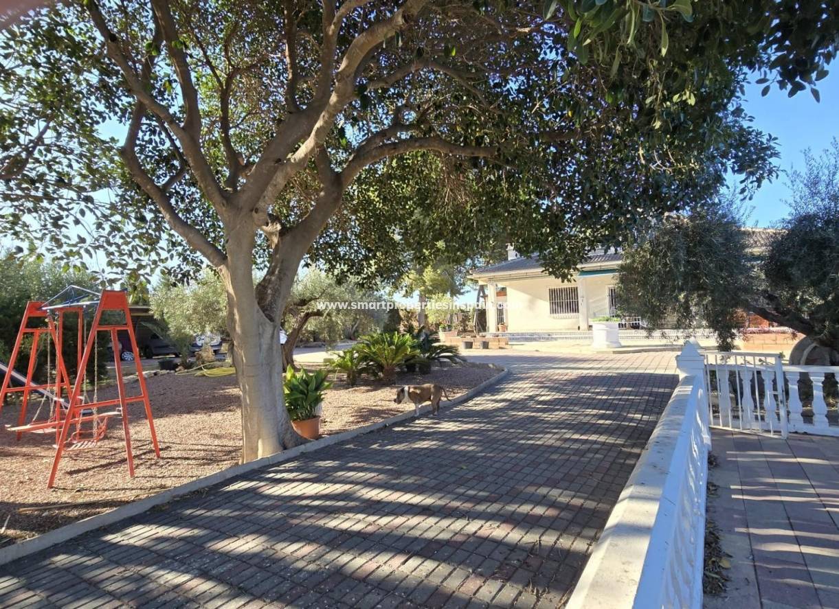 Revente - Maison Individuelle - Elche