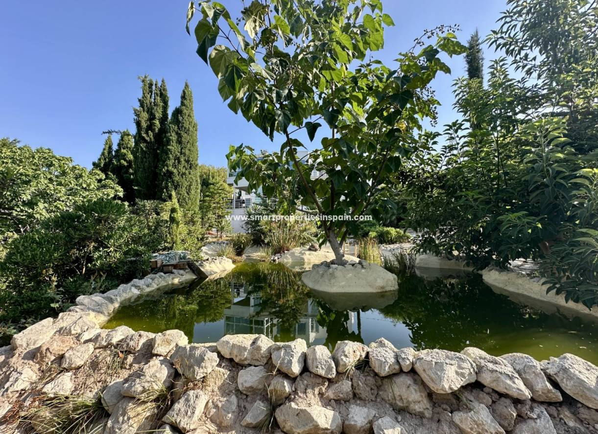 Revente - Maison Individuelle - Elche