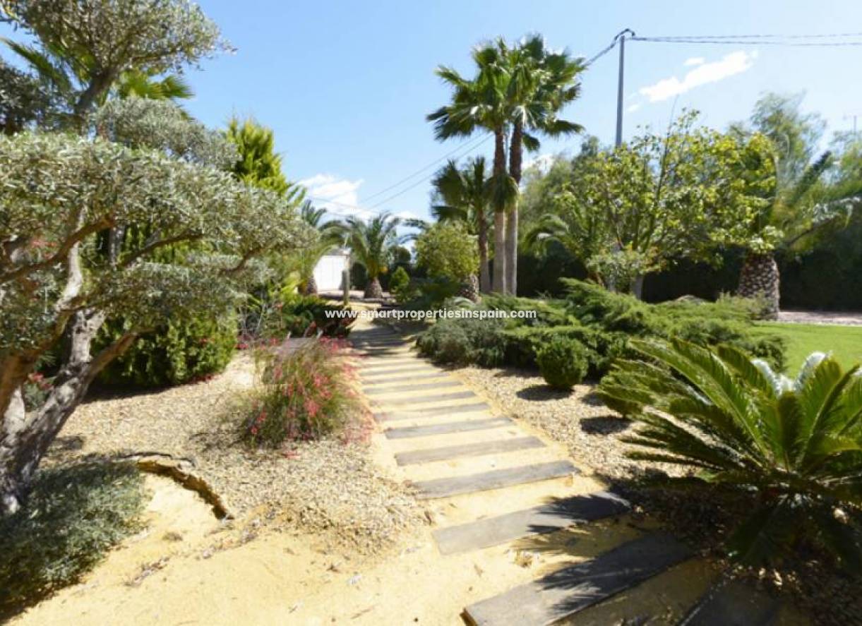 Revente - Maison Individuelle - Elche