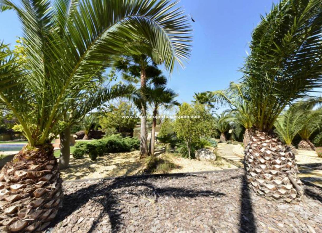 Revente - Maison Individuelle - Elche