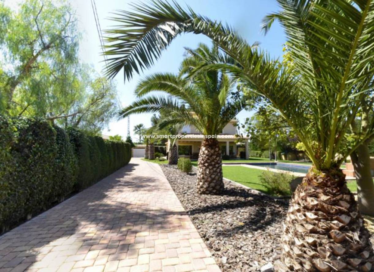 Revente - Maison Individuelle - Elche