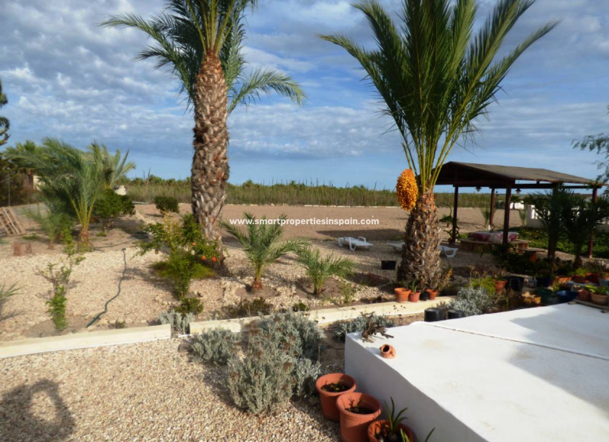 Revente - Maison Individuelle - Elche