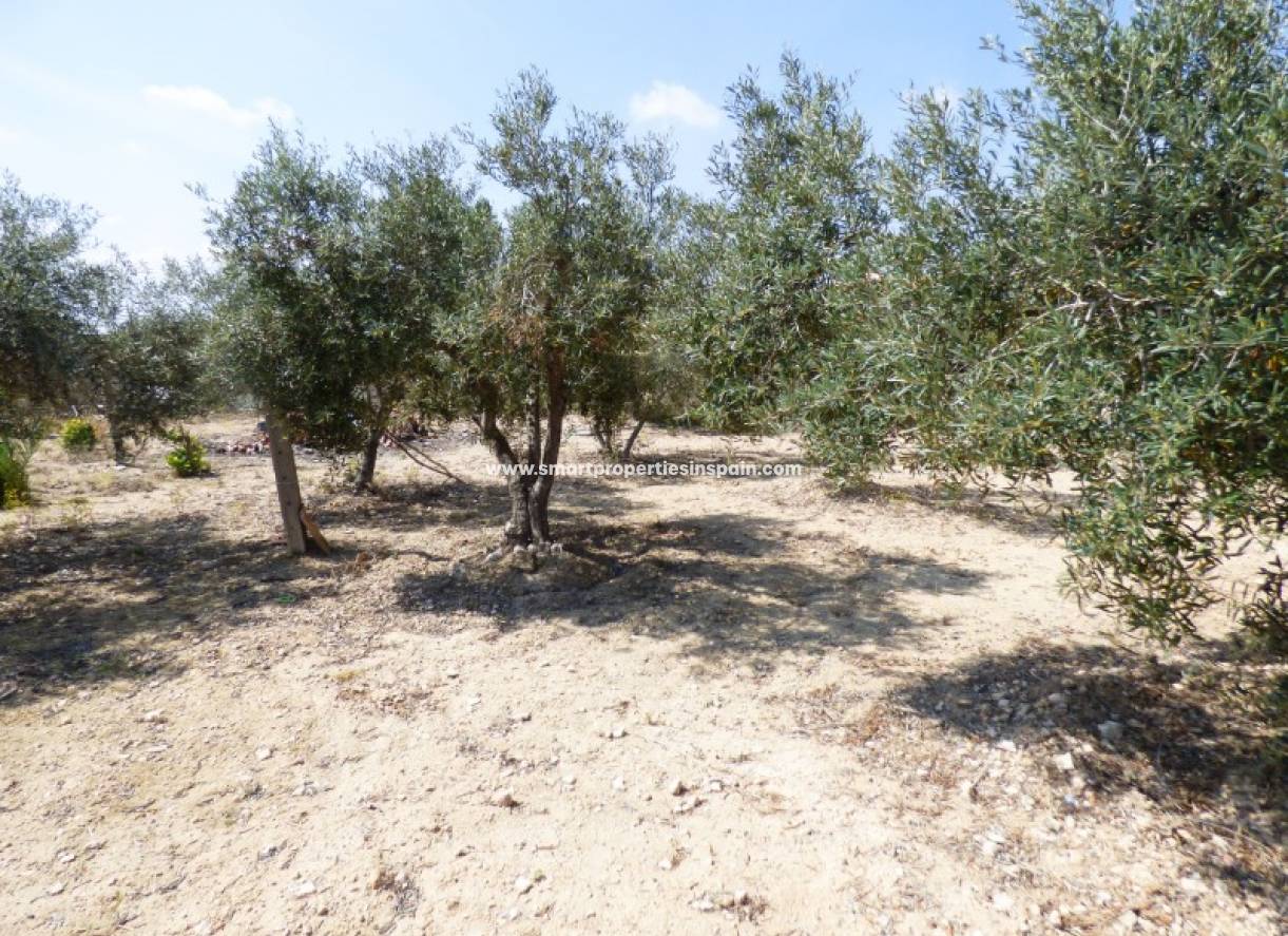 Revente - Maison Individuelle - La Marina - Urbanización La Marina