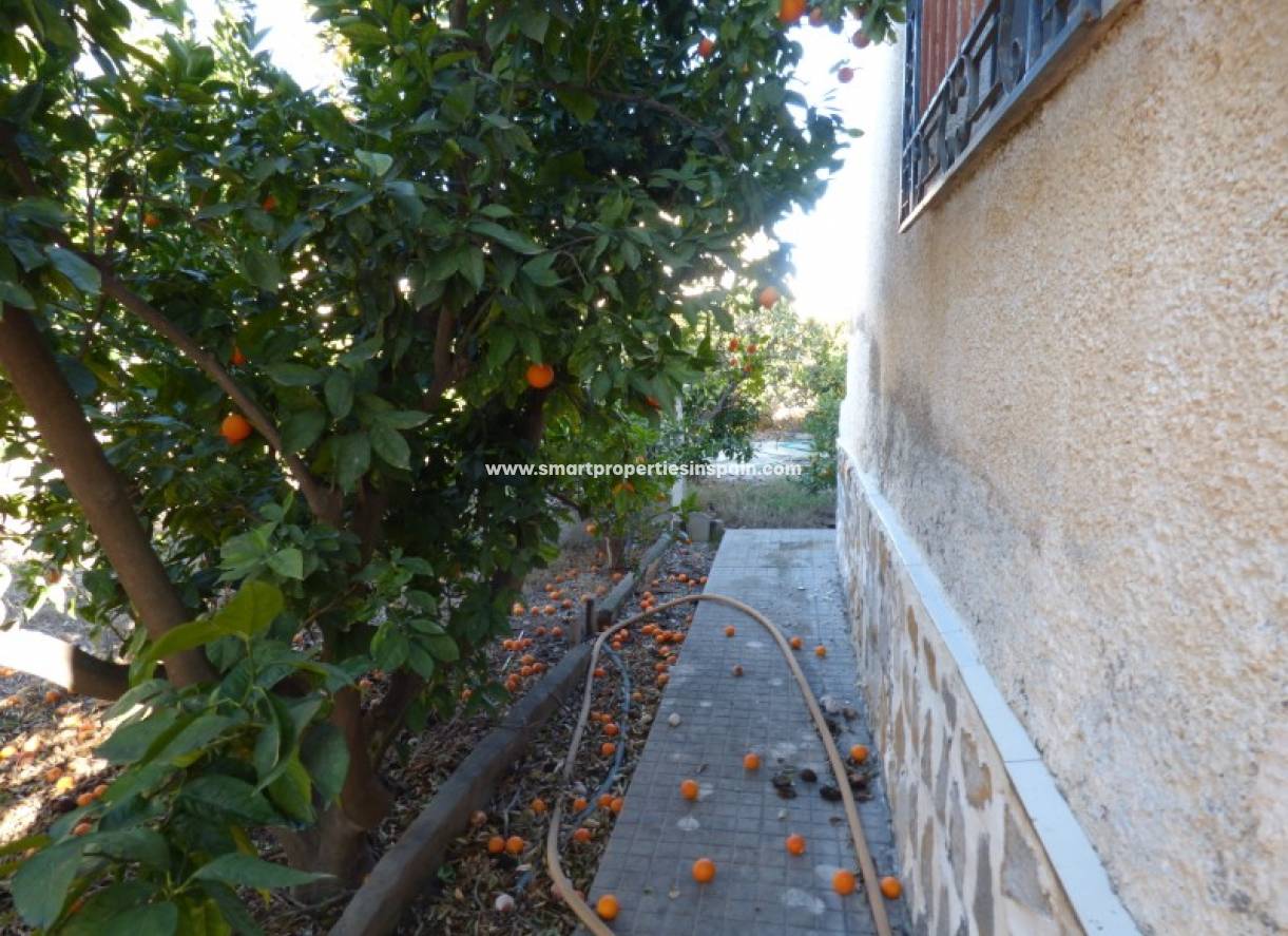 Revente - Maison Individuelle - La Marina - Urbanización La Marina