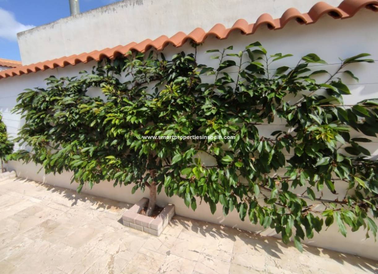 Revente - Maison Individuelle - La Marina - Urbanización La Marina