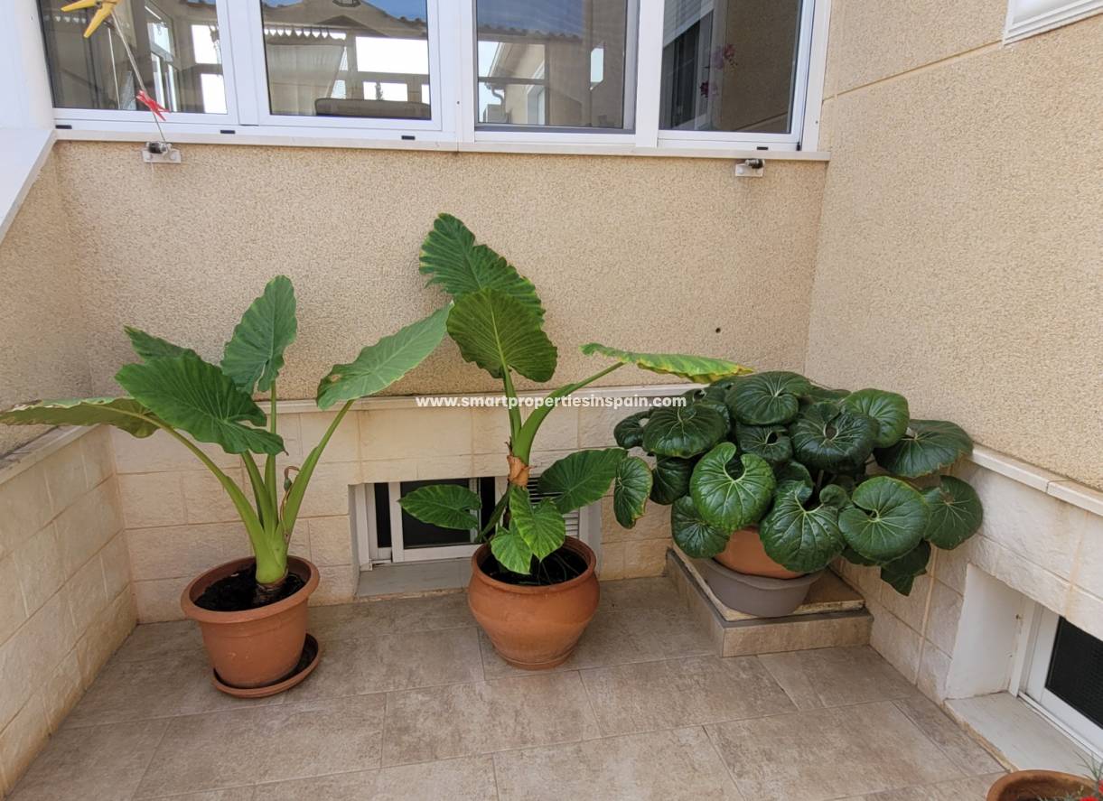 Revente - Maison Individuelle - La Marina - Urbanización La Marina