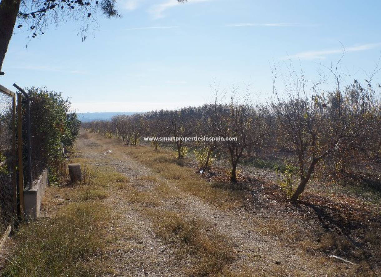 Revente - Terrain - Dolores - dolores