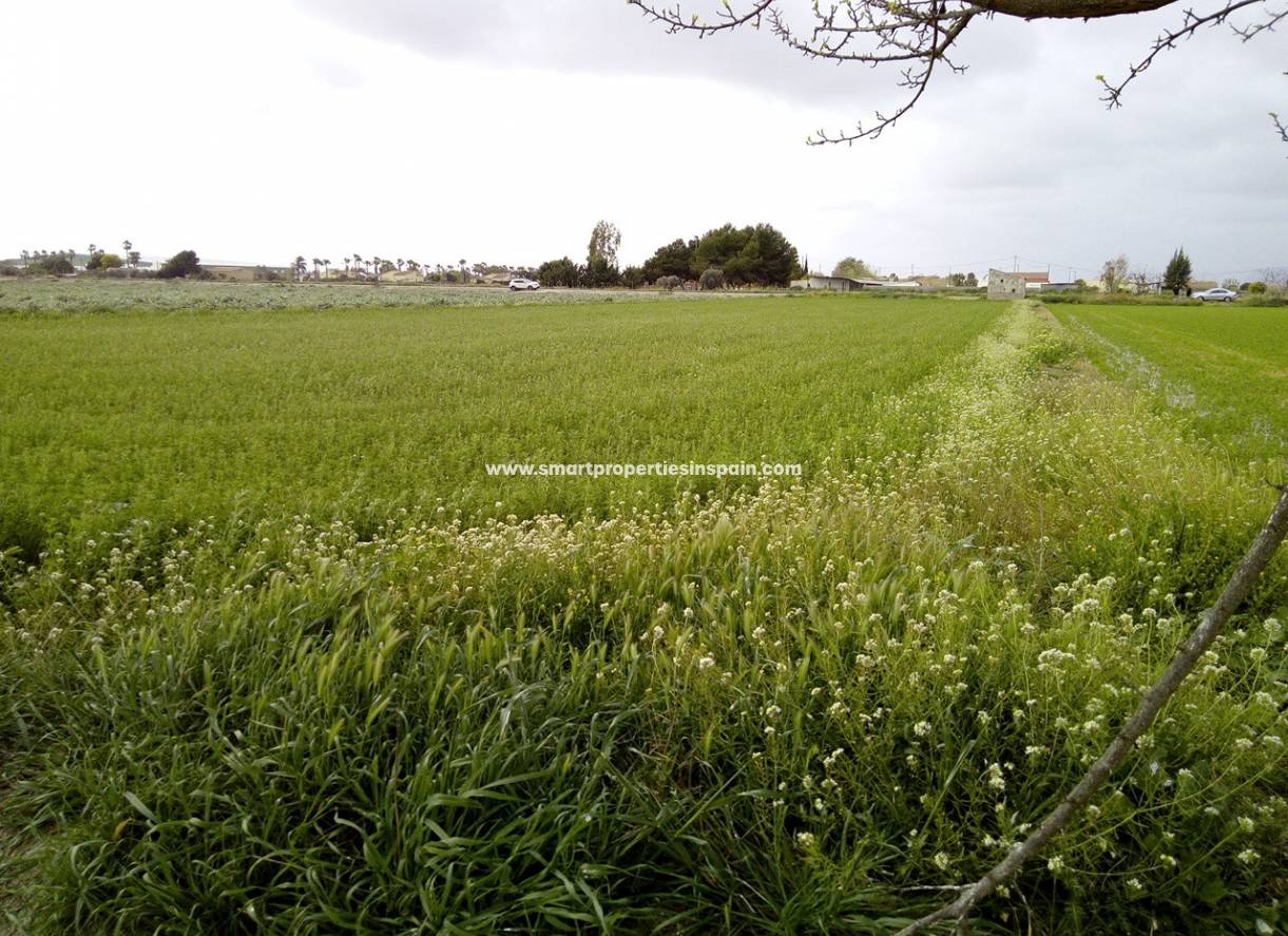 Revente - Terrain - Dolores - dolores