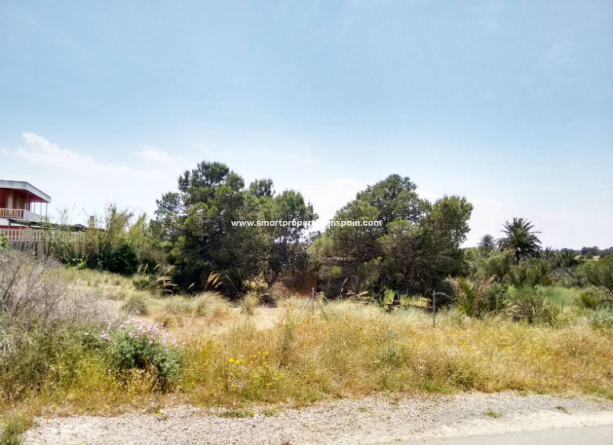 Revente - Terrain - El Altet