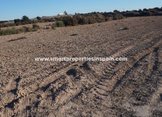 Revente - Terrain - Elche - Valverde