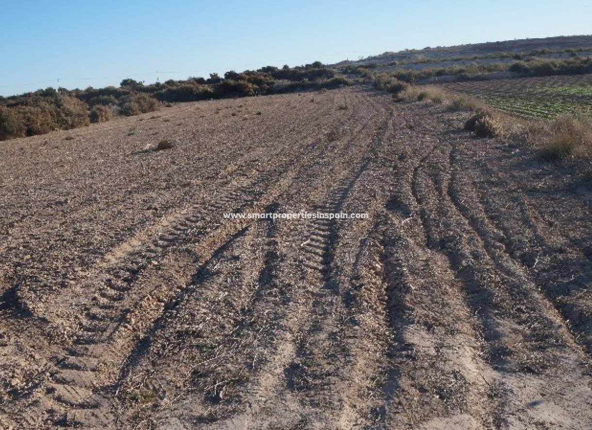 Revente - Terrain - Elche - Valverde