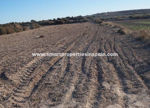 Revente - Terrain - Elche - Valverde