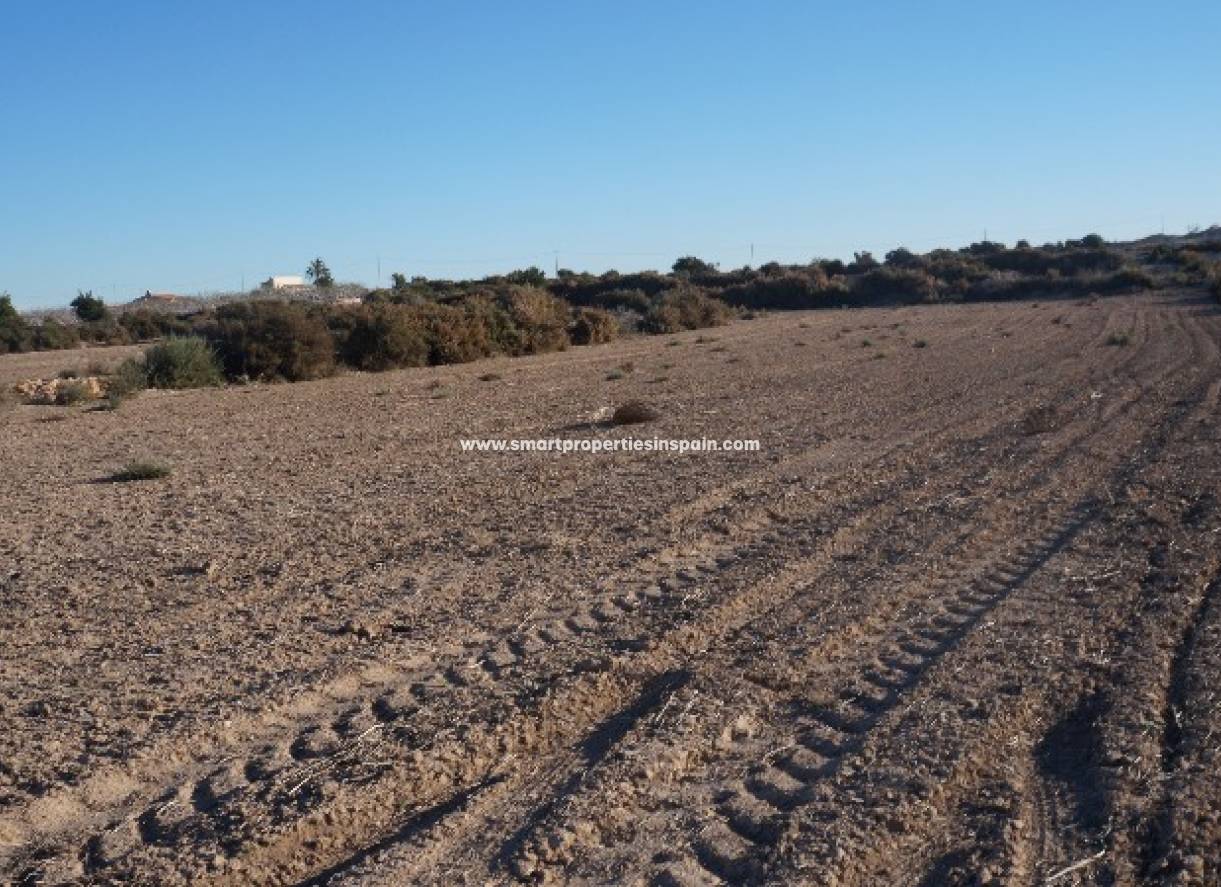 Revente - Terrain - Elche - Valverde