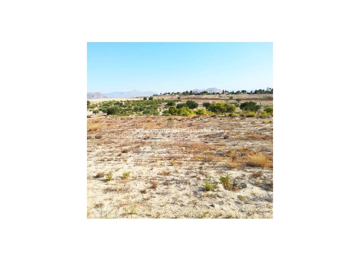 Revente - Terrain - Elche