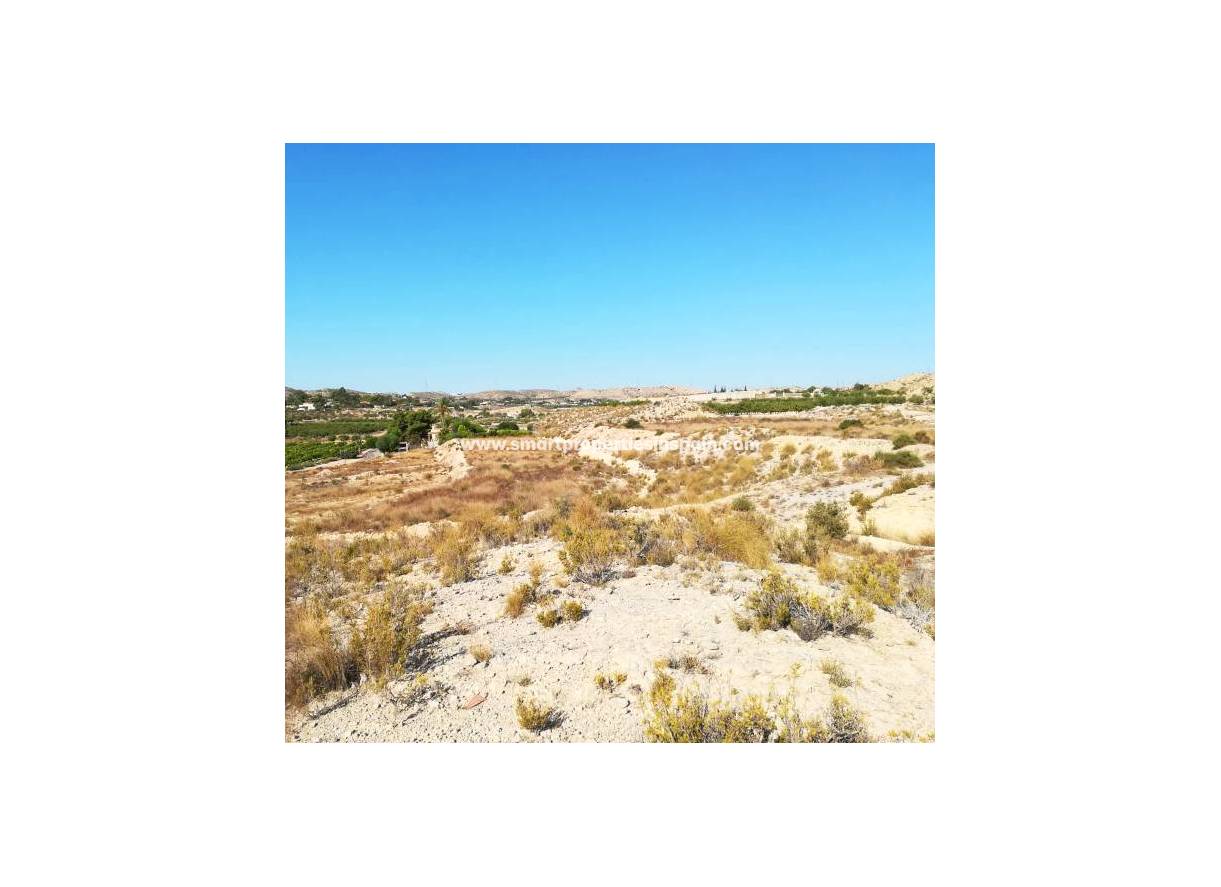 Revente - Terrain - Elche