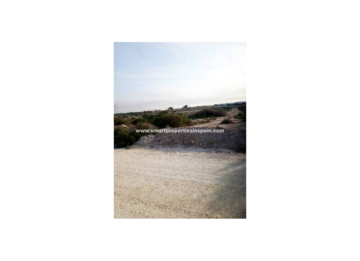 Revente - Terrain - Elche