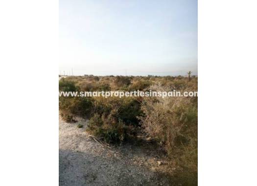 Revente - Terrain - Elche